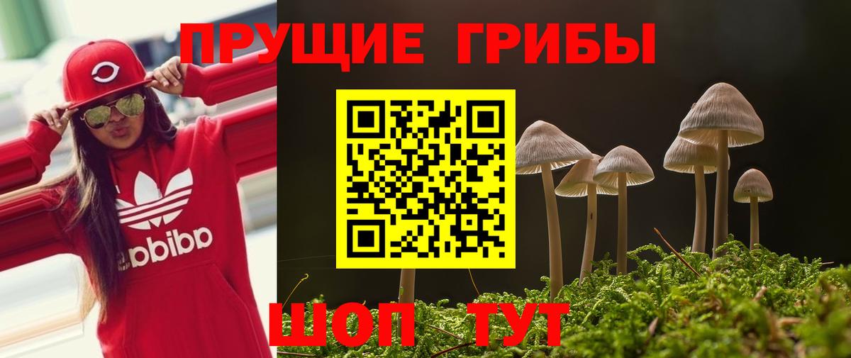 Галлюциногенные грибы мухоморы Североморск